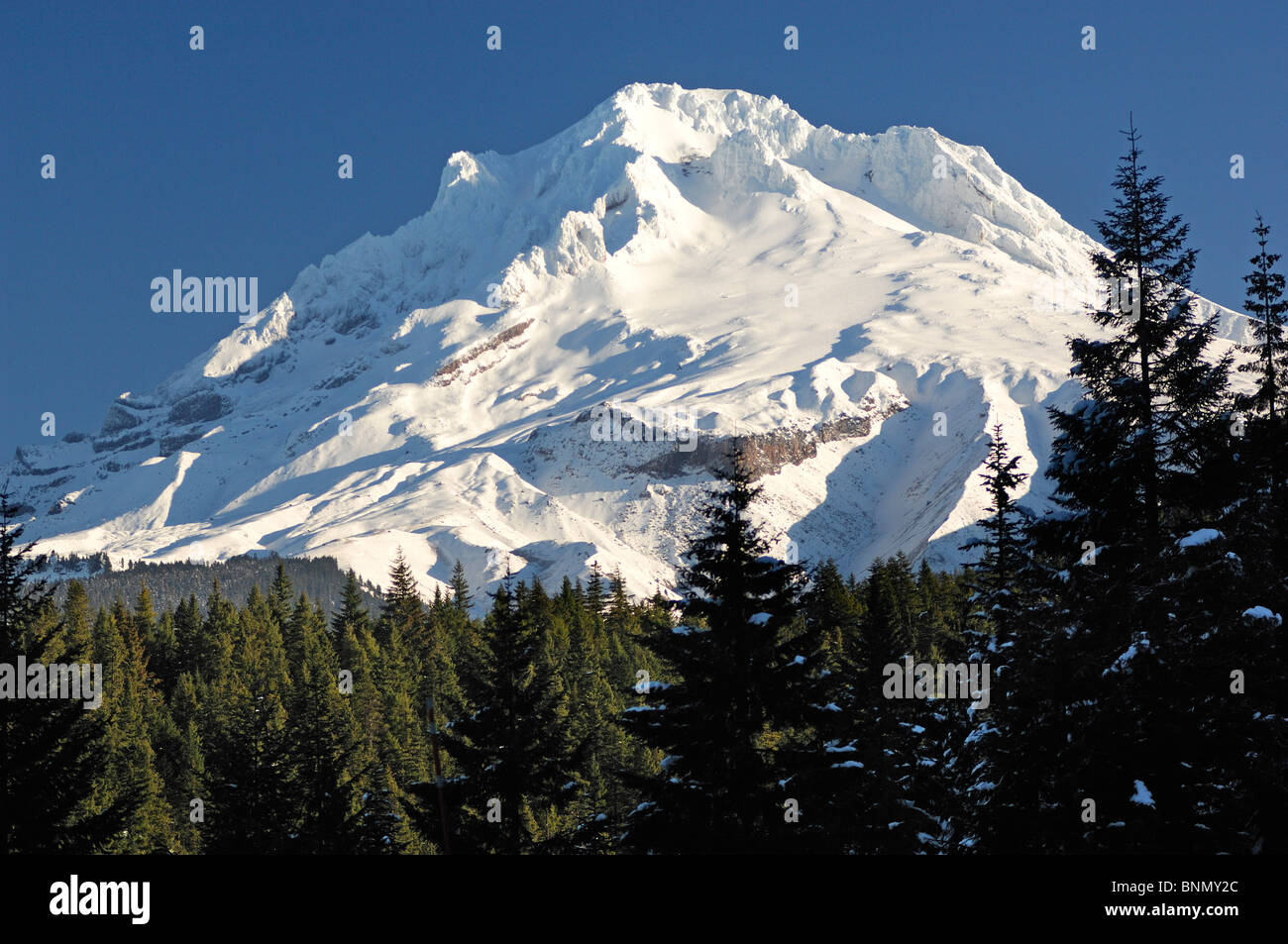 Mount Hood bedeckt in Oregon USA Berg Schnee Stockfoto