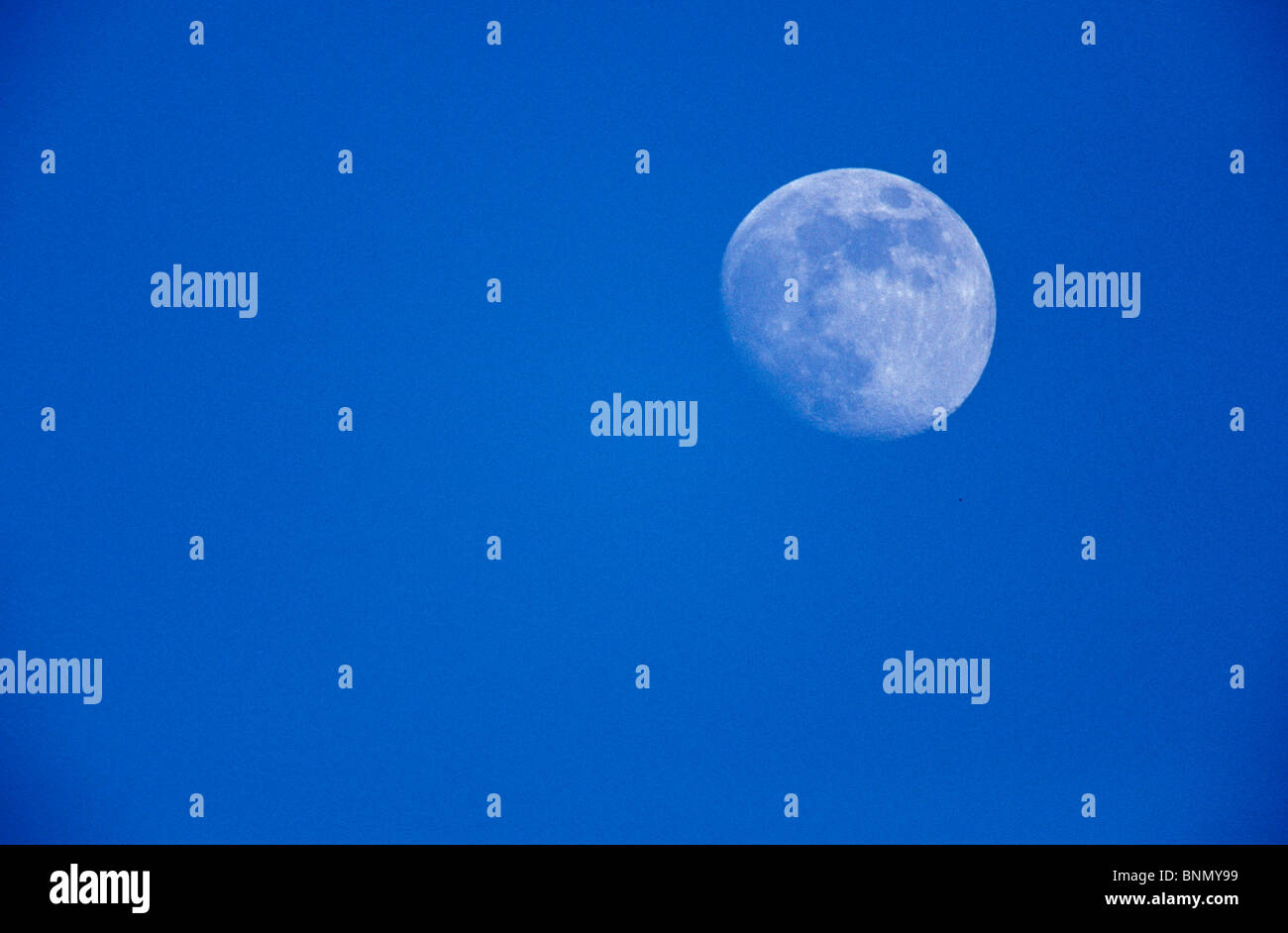 In der Nähe von Vollmond Nahaufnahme Alaska Winter Stockfoto