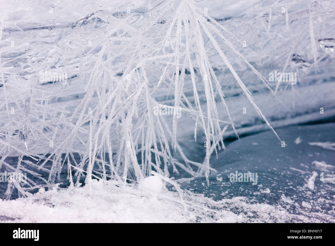 Feine Nadeln von Eis bilden sich Eiskristalle in Minustemperaturen, Alaska Stockfoto