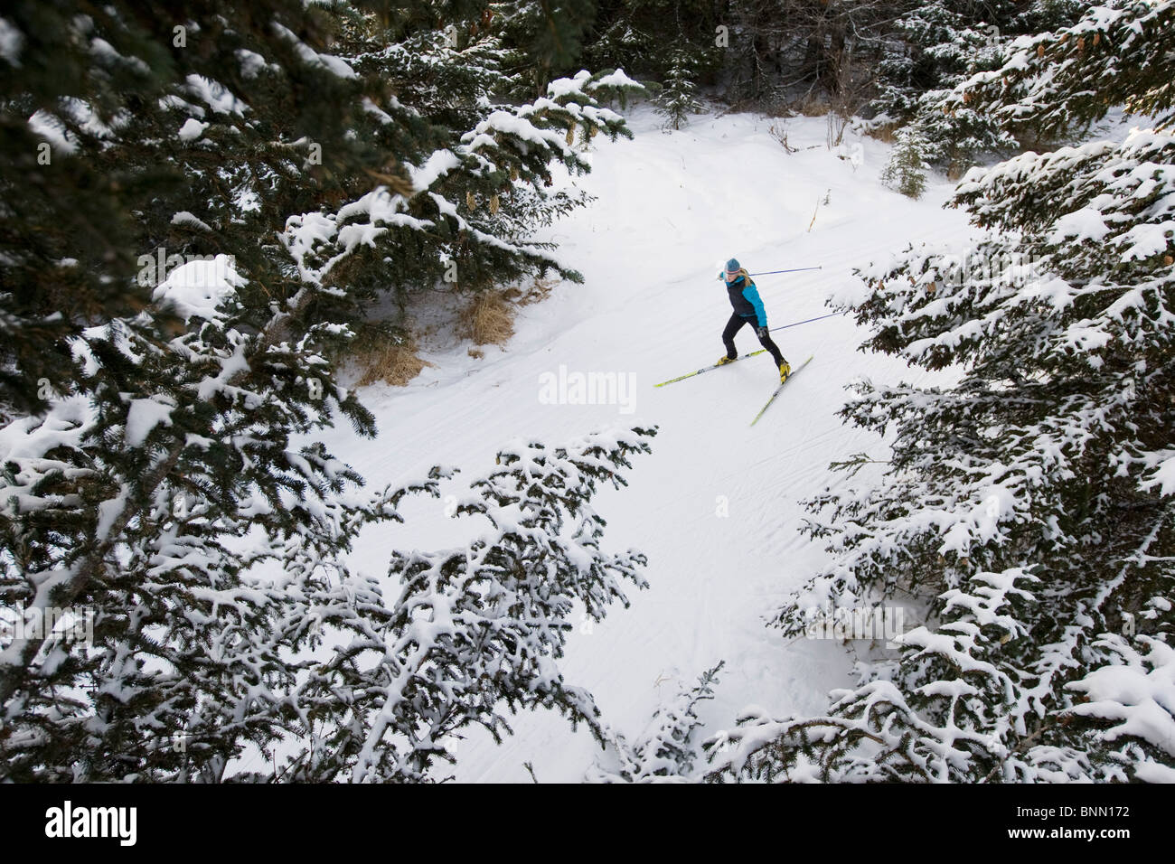 Frau Nordic Ski auf den Baycrest-Loipen im Winter in der Nähe von Homer, Halbinsel Kenai, Alaska Stockfoto