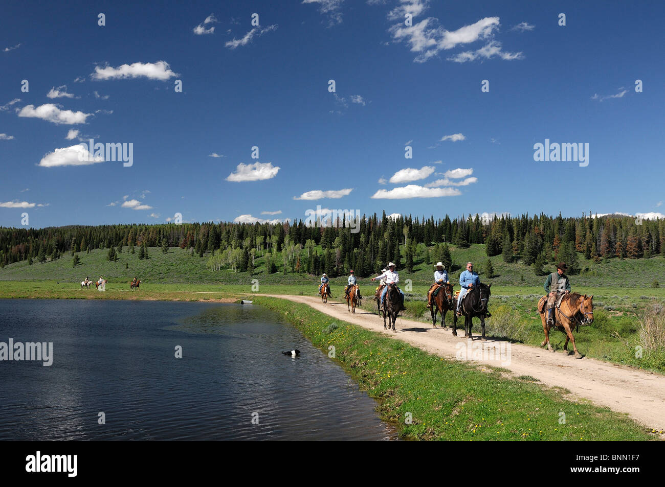 Panorama des Gastes Reiten Flying A Ranch Guest Ranch Bondurant Wyoming USA Waldsee Stockfoto