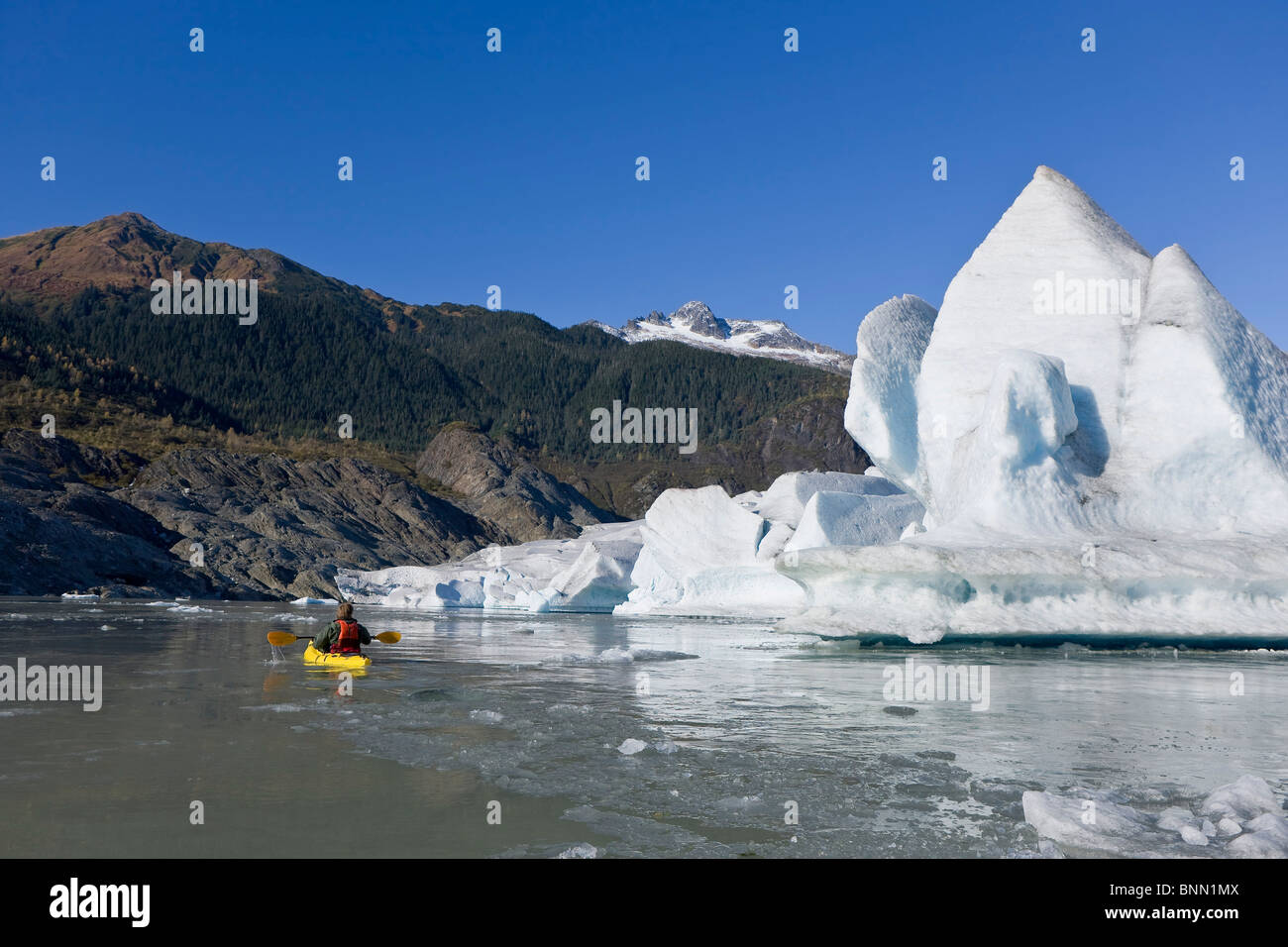 Ein Kajakfahrer Paddel die eisigen Gewässern der Mendenhall Lake Mendenhall-Gletscher und Mt. Kinderwagen White im Hintergrund, Alaska Stockfoto