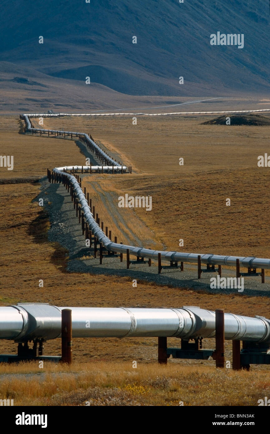 Trans-AK-Pipeline im Brooks Range North Slope AR AK Herbst Stockfoto