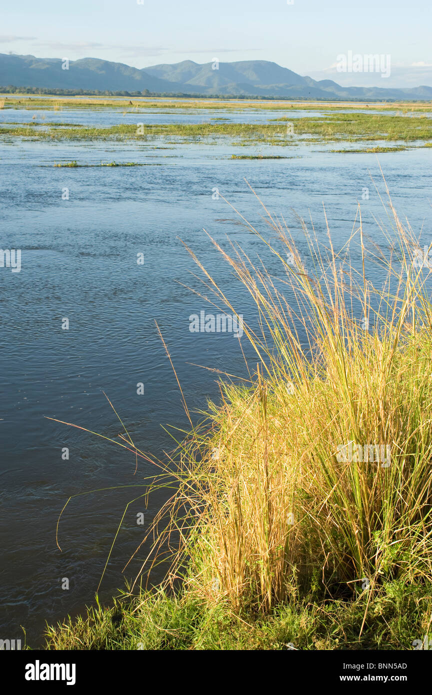 Atemberaubende Landschaft Simbabwes Mana Pools National Park Stockfoto