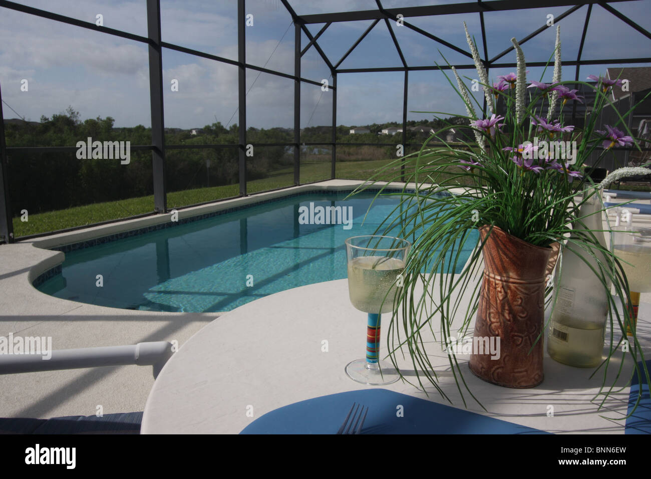 Privater Swimming Pool und Terrassenbereich mit Insekt Netz Abdeckung, aufgenommen am Urlaub in Florida. Stockfoto