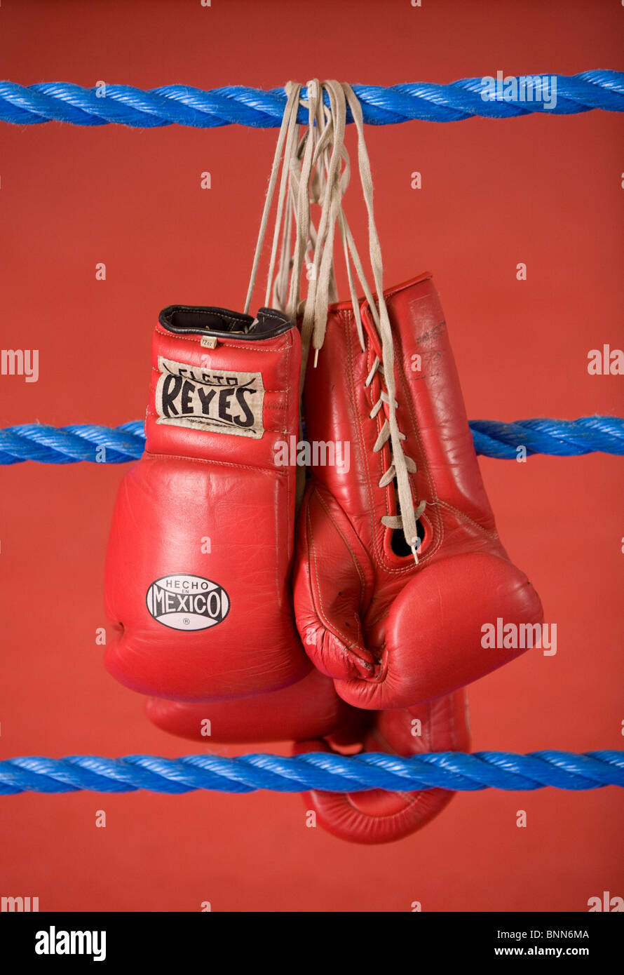 Boxhandschuhe rot hängen in den Seilen einen Boxkampf Ring. Bild von James Boardman Stockfoto