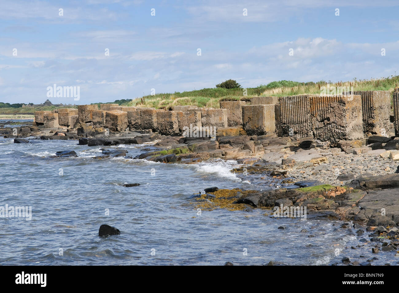 Panzersperren am Strand von Longniddy, East Lothian, Schottland. Stockfoto