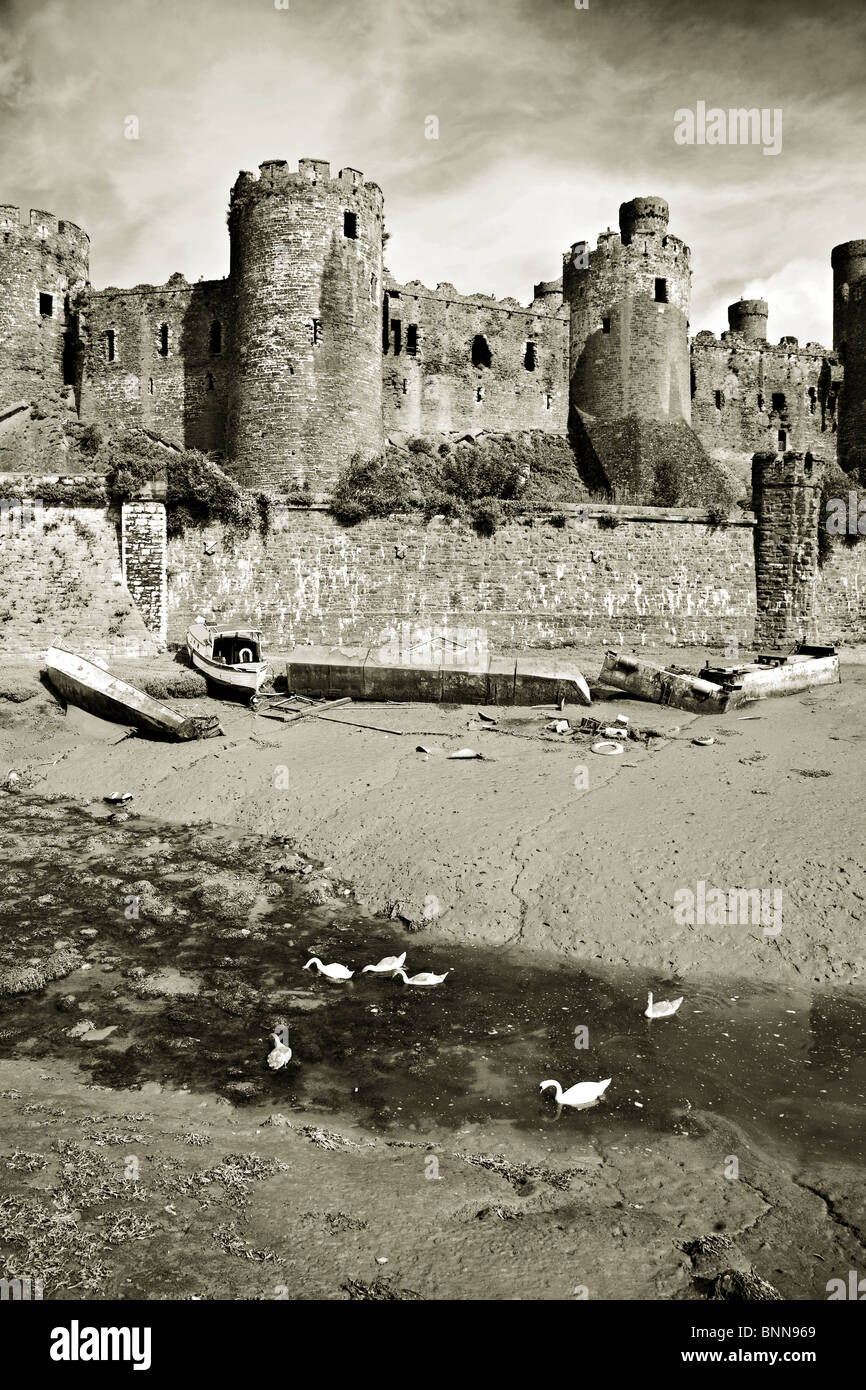 Conwy Castle Nord wales uk Stockfoto