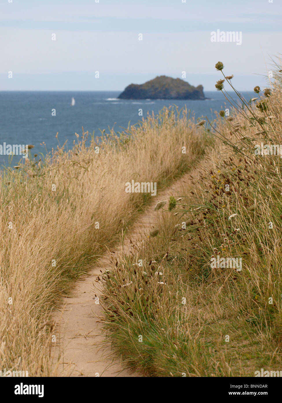 Südwestküste-Weg in Cornwall in der Nähe von Felsen, Padstow Bay, Cornwall, UK Stockfoto