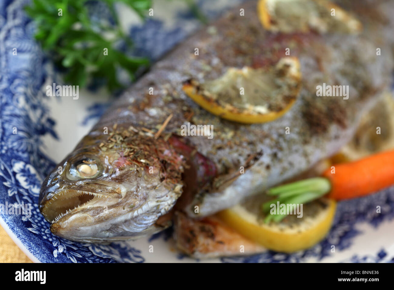 gebackener Fisch leckere Gericht gekocht, Teig Ernährung Kochen Stockfoto