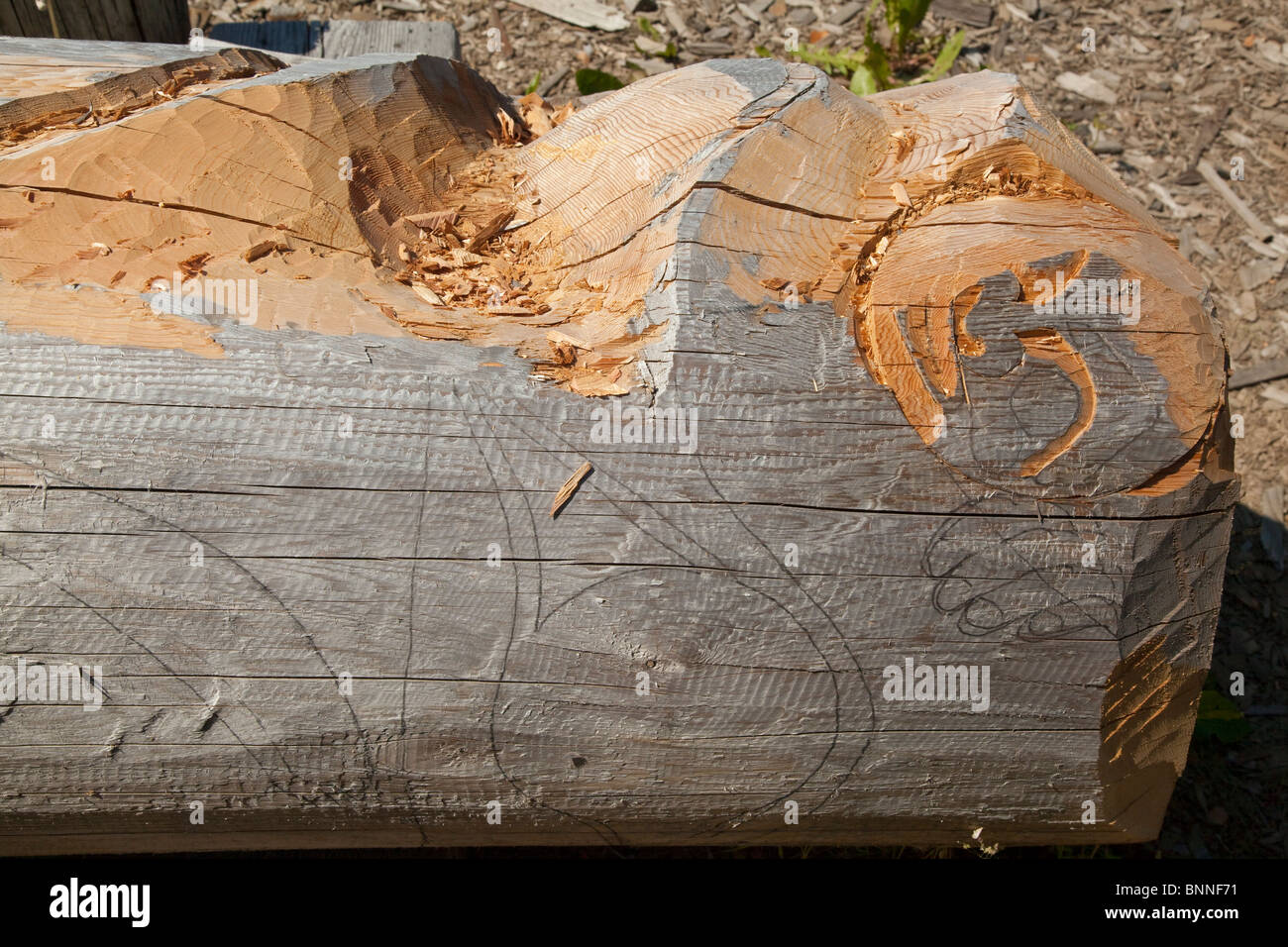 USA, Alaska, Kake-schnitzen einen Totempfahl Stockfoto