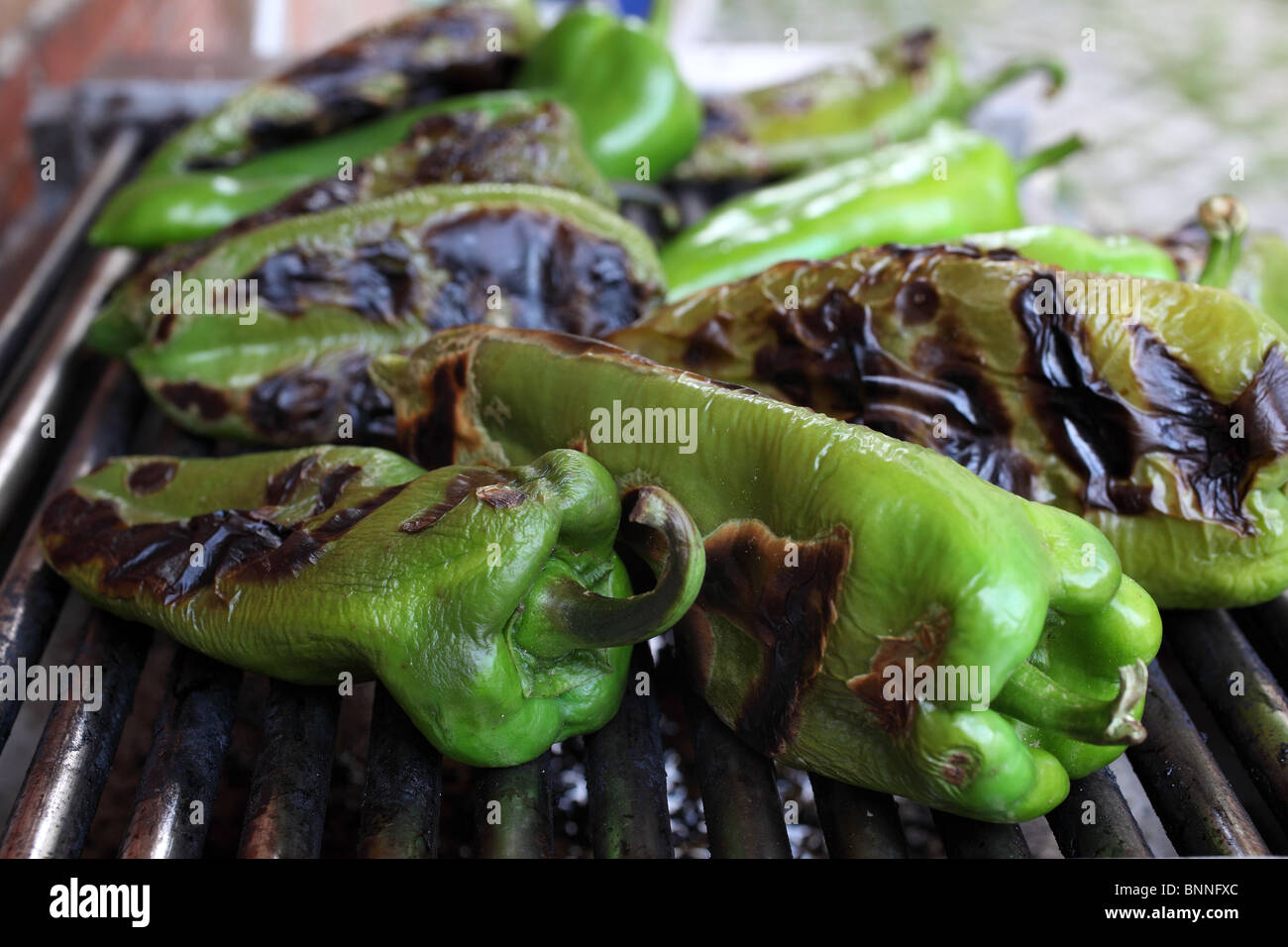 grüne Paprika Grill gegrillt Stockfoto