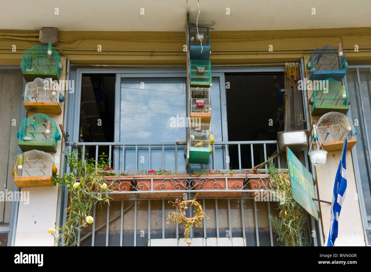 Käfige der Singvögel hängen auf Balkon Apartment im ersten Stock in der alten Corfu Stadt auf der griechischen Insel Korfu Griechenland GR Stockfoto