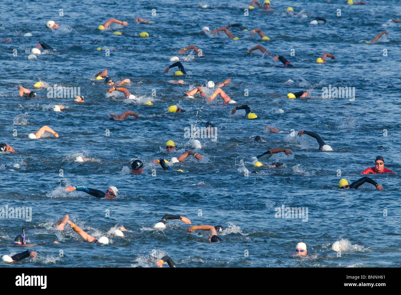 Konkurrenten im Hinspiel einen Triathlon schwimmen in Lady Bird Lake in der Innenstadt von Austin, Texas. Stockfoto