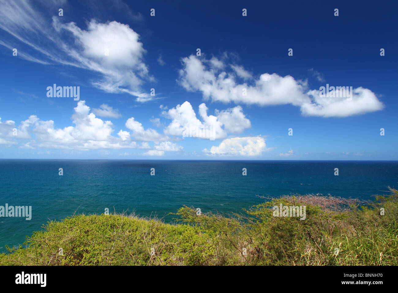 Wunderschöne Küste von St. Kitts Stockfoto