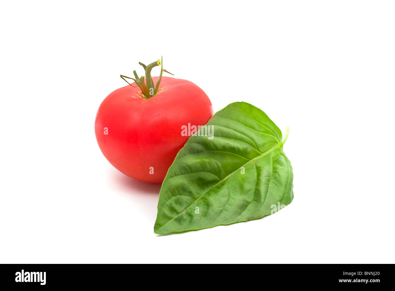 Einzigen Tomaten mit Basilikum auf weißem Hintergrund Stockfoto