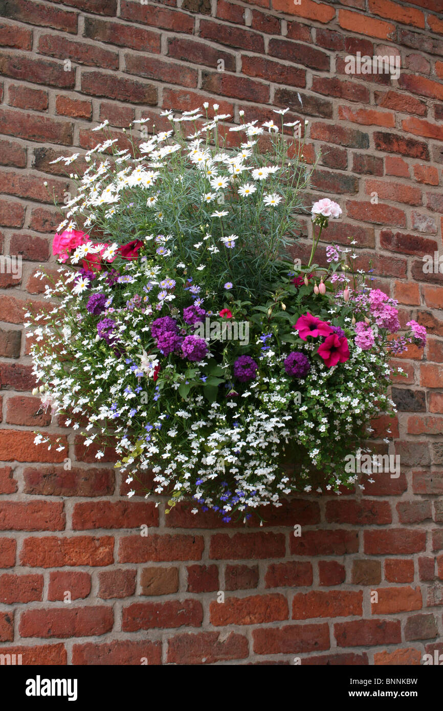 Hängenden Korb auf einer roten Backsteinmauer Stockfoto