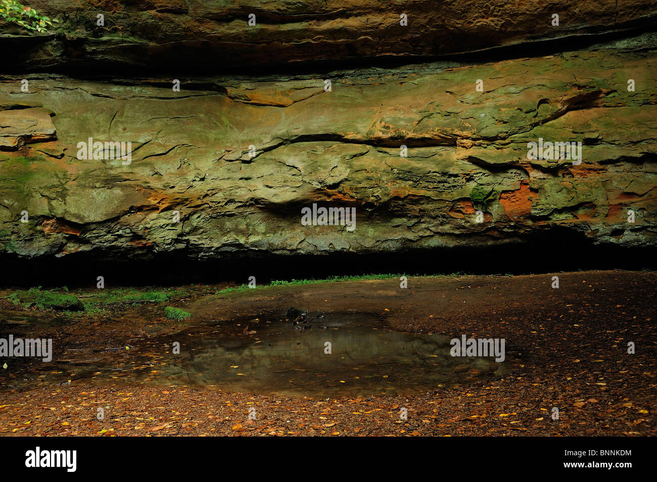 Creek Greis Cave Gorge Trail Hocking Hills State Park Ohio USA Amerika Vereinigte Staaten von Amerika Fluss Natur Felsen Stockfoto