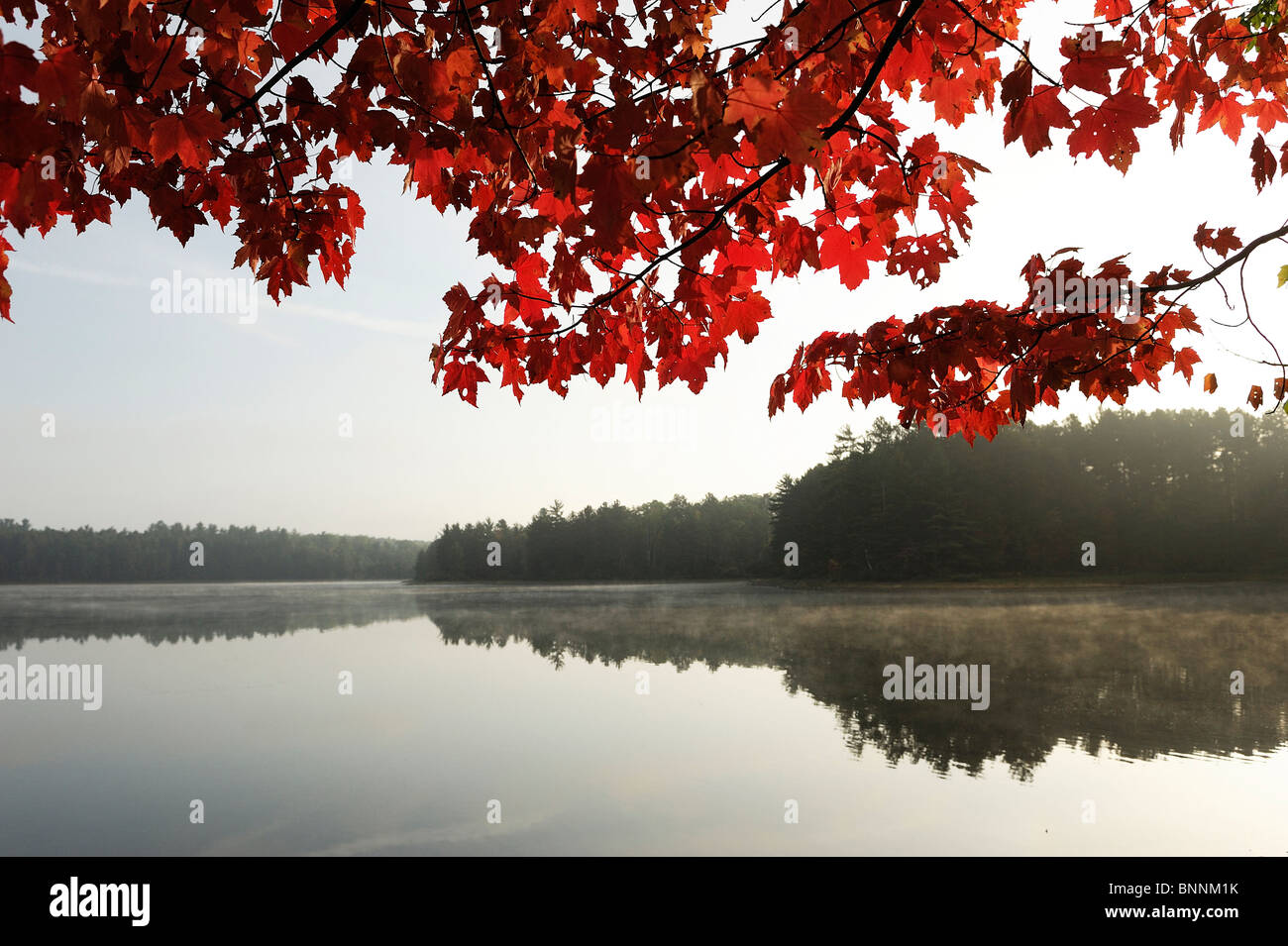Starrett Lake Northern Highland American Legion State Wald Wisconsin USA Amerika Vereinigte Staaten von Amerika See Waldbäumen Stockfoto