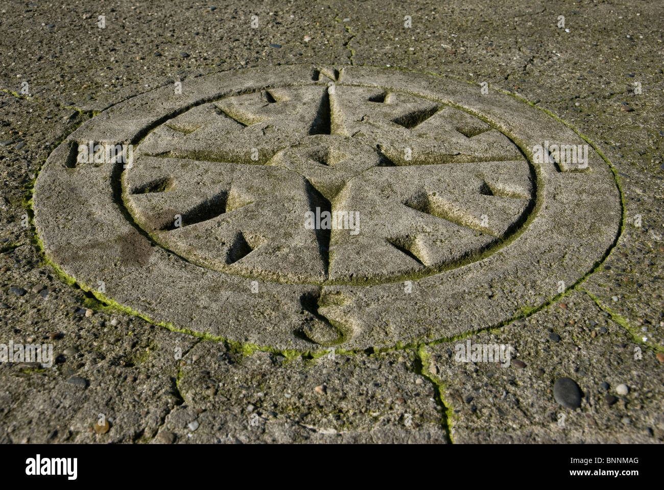 Kompass Bild in Beton gesetzt Stockfoto
