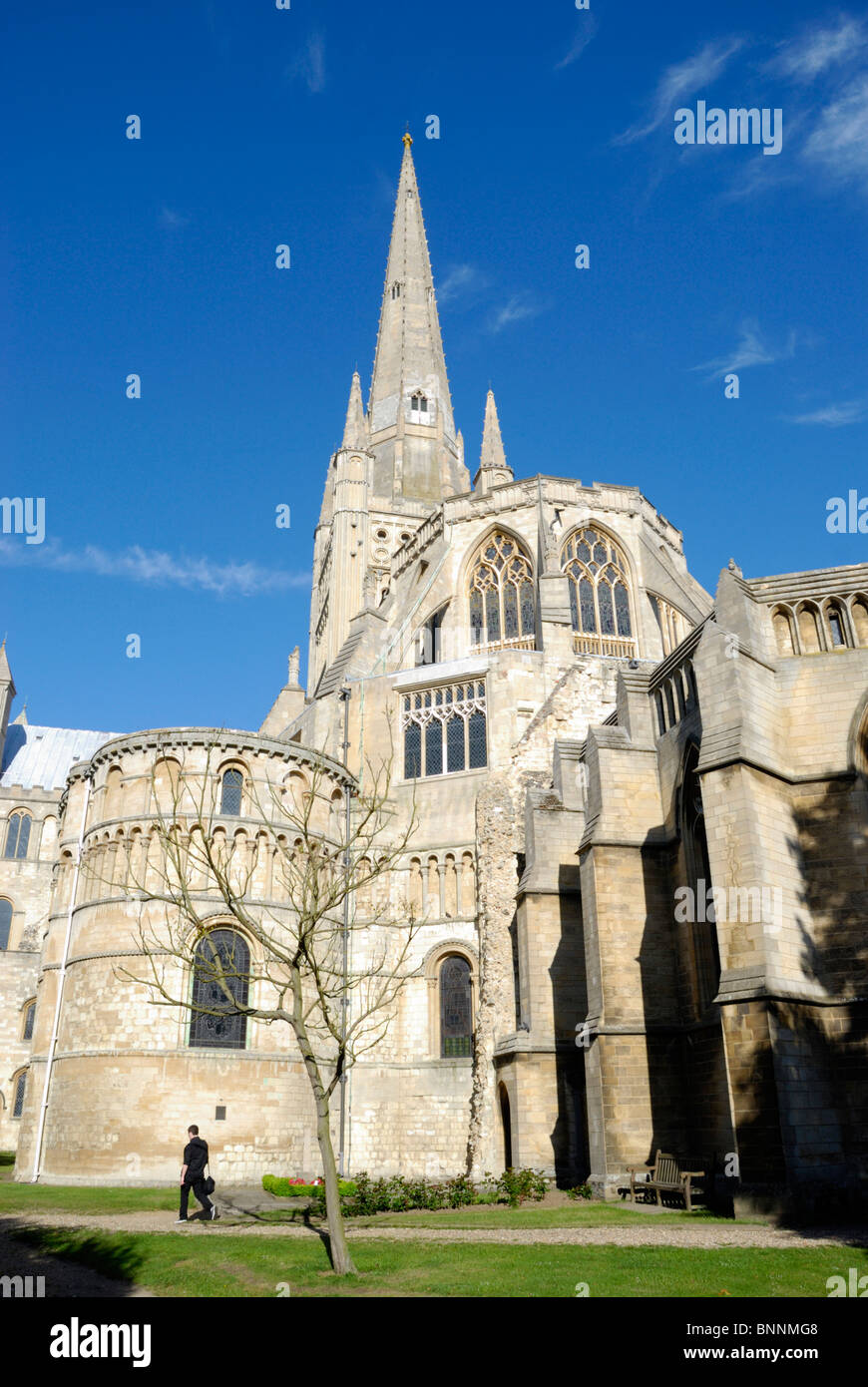 Kathedrale von Norwich, Norfolk, England Stockfoto