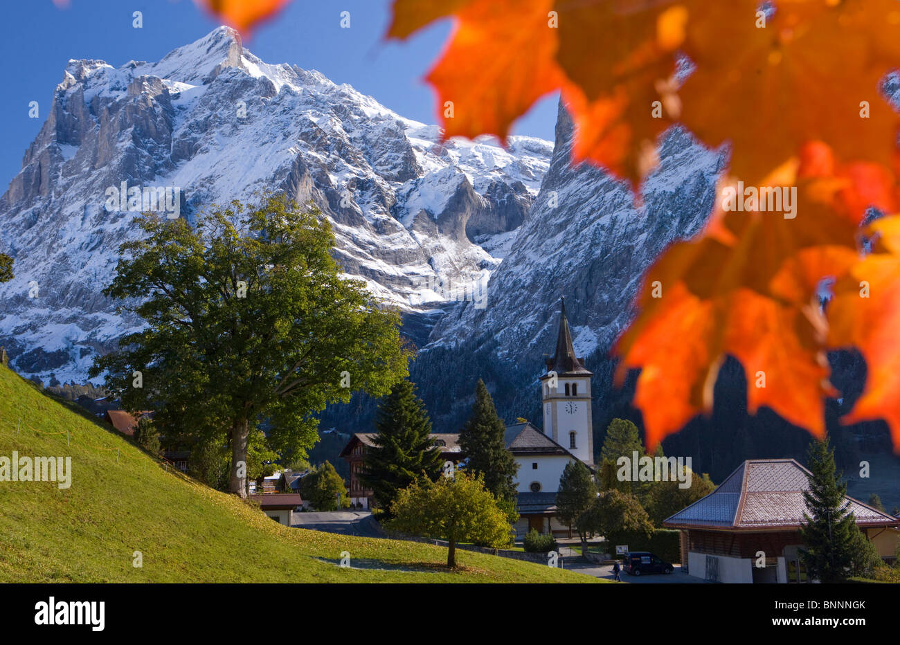 Schweiz Swiss Herbst Farbe der Blätter Grindelwald Berner Alpen Berge  Kanton Bern Ast Eiger Herbst Landschaft Natur Stockfotografie - Alamy