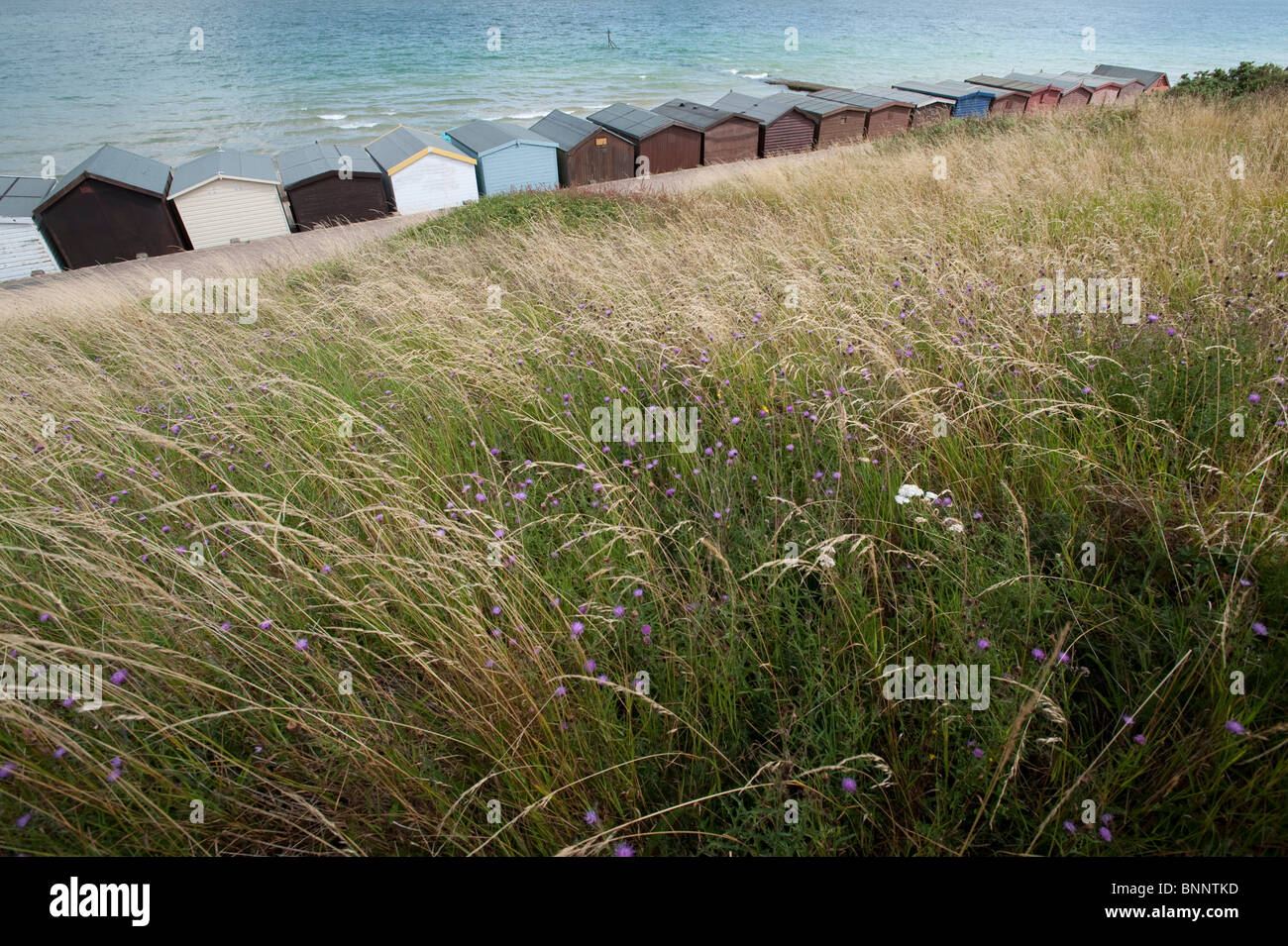 Bemalte Strand Hütten am Frinton-on-Sea, Essex Stockfoto