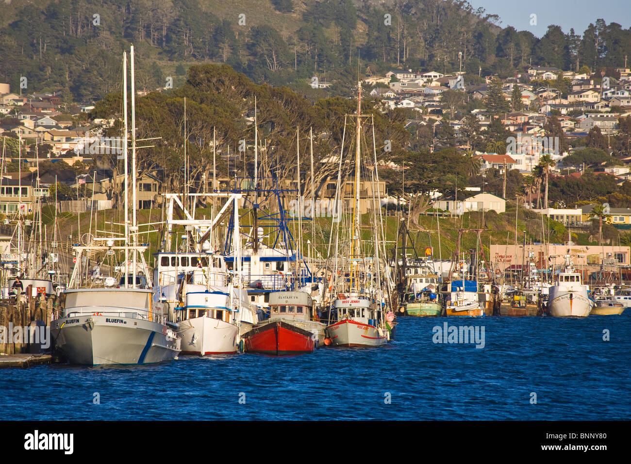 Boote im Hafen von Morro Bay, Kalifornien Stockfoto