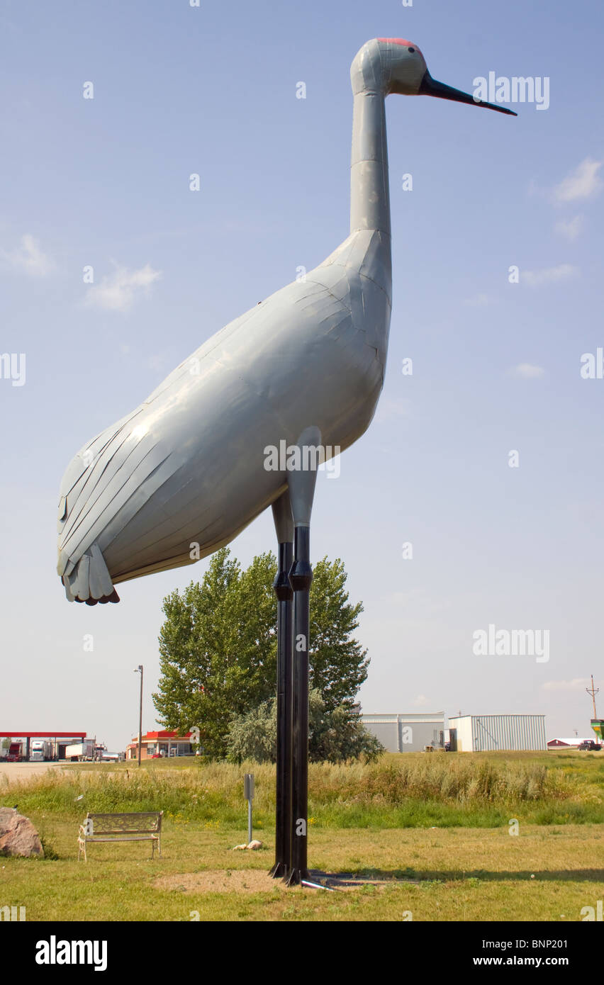 Weltweit größte Sandhill Kran in Steele Nord Dakota Stockfoto