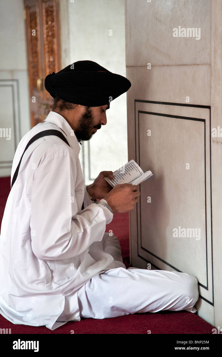 Sikh Anhänger die heiligen Schriften zu lesen. Der Goldene Tempel. Amritsar. Indien Stockfoto