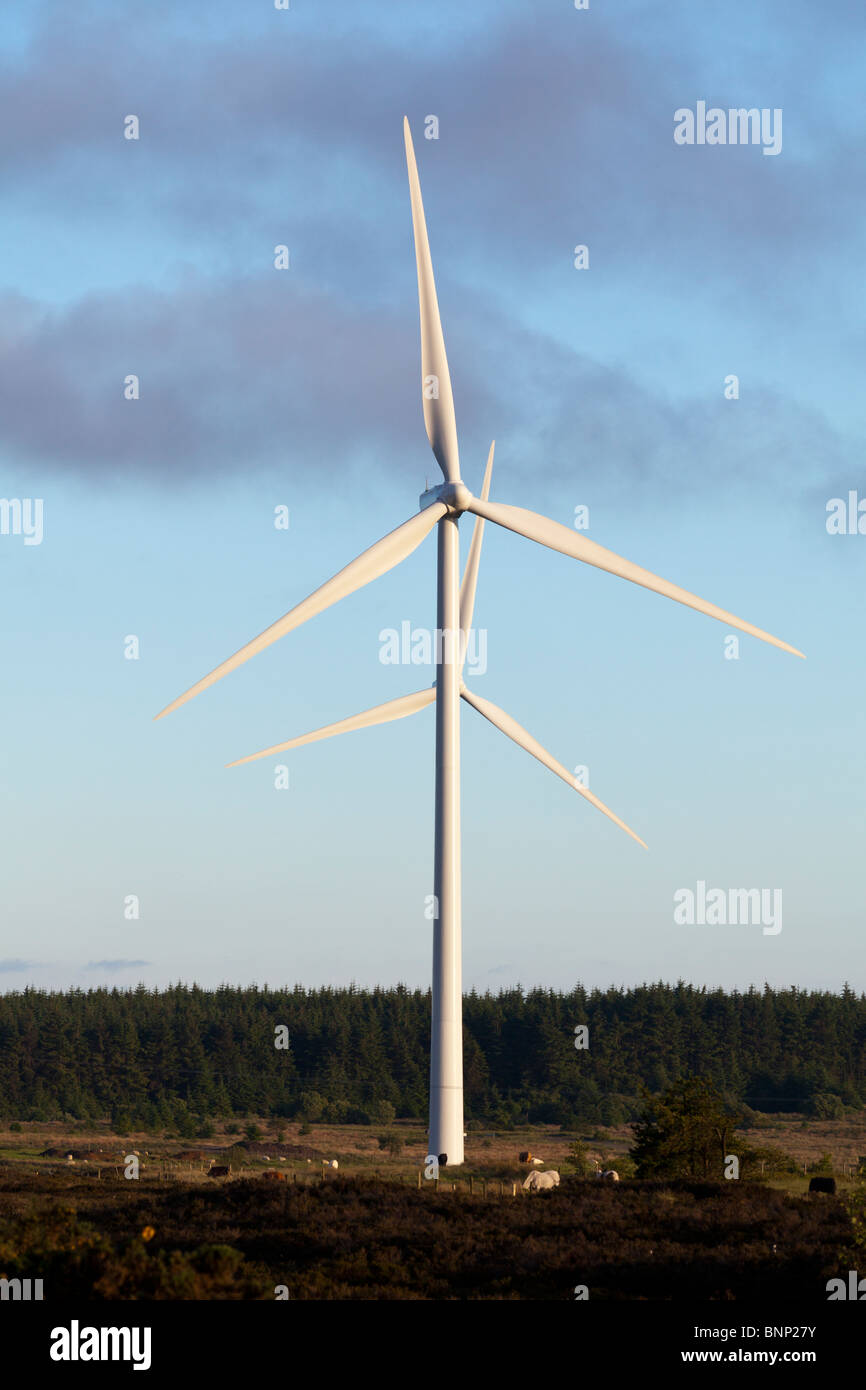 zwei Windmühlen in einer Zeile, Land Antrim, Nordirland, Vereinigtes Königreich Stockfoto