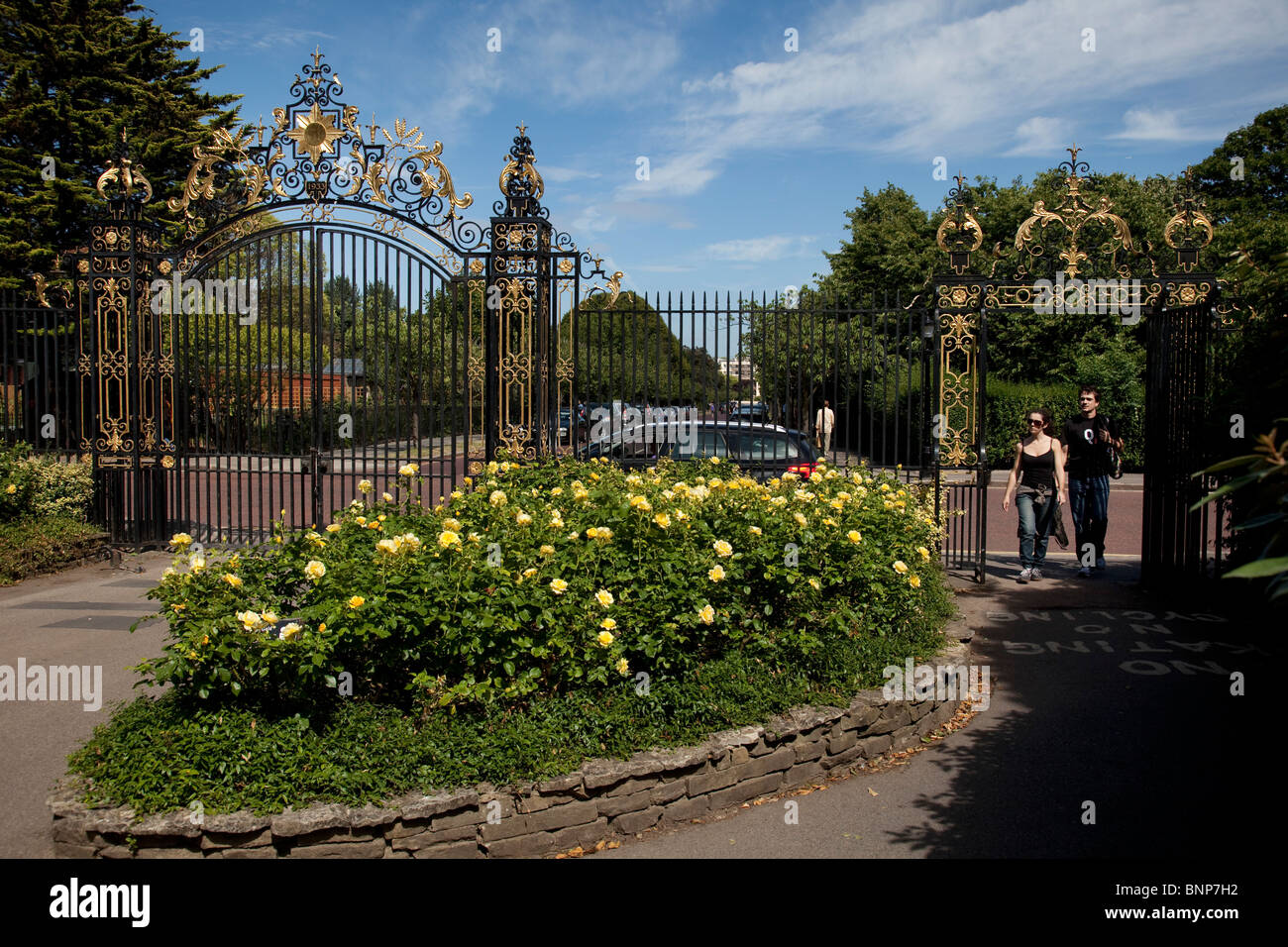 Queen Mary es Gardens im Regents Park. In der Inner Circle ist eine Rose Garden mit Hunderten von Sorten. London. VEREINIGTES KÖNIGREICH. Stockfoto