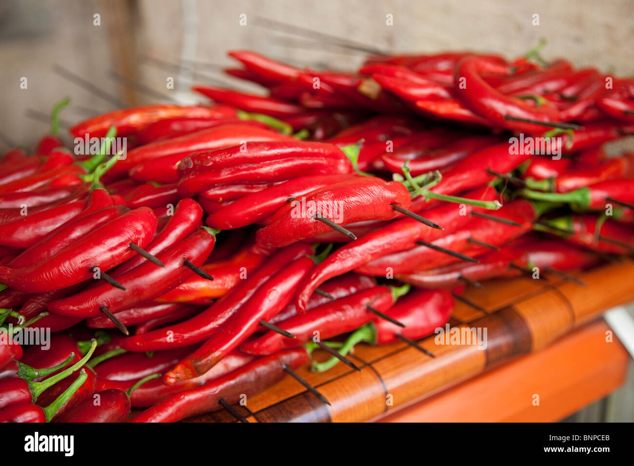 Spieße mit berühmten roten Chilis in einem Restaurant in Sanliurfa, Türkei Stockfoto