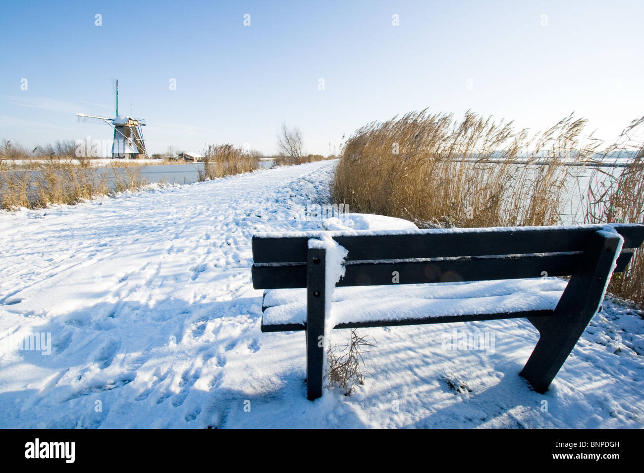 Holländische Windmühle touristische Website von Kinderdijk. Zuid-Holland, Niederlande Stockfoto