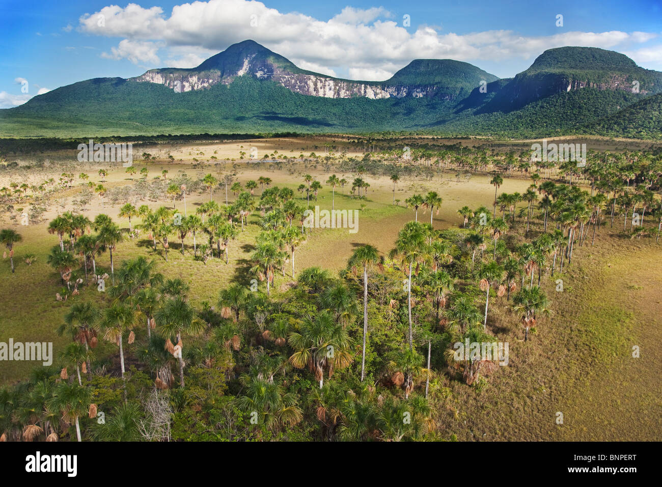 Die Gran Sabana oder große Savanne liegt auf einem Plateau mit riesigen Tafelberge Tepuis Venezuela in Südamerika genannt punktiert Stockfoto