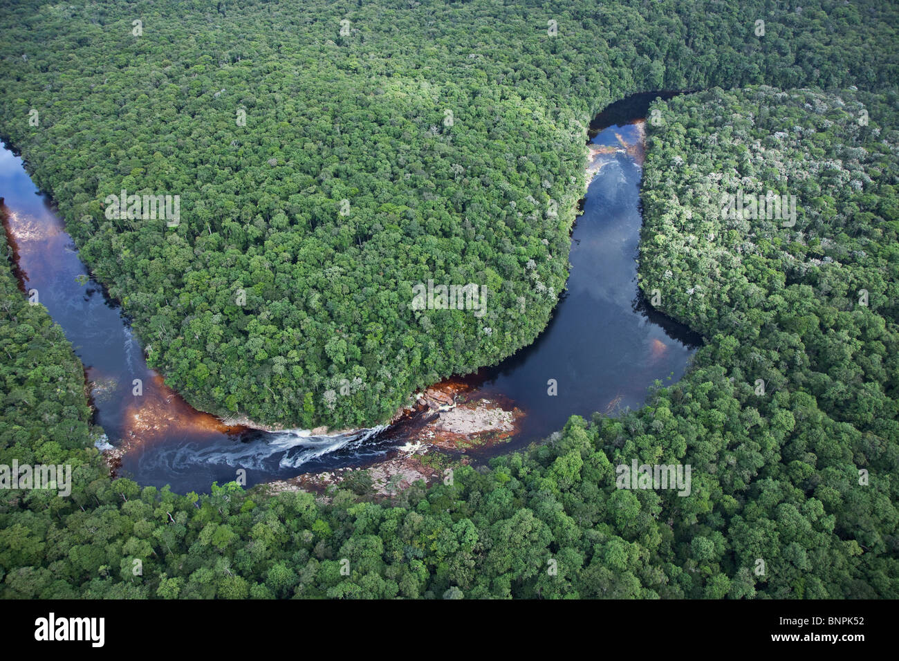 Flüsse im Regenwald sind gelb bis schwarz gefärbt, von verfallenden pflanzliche Stoffe. Südamerika Stockfoto