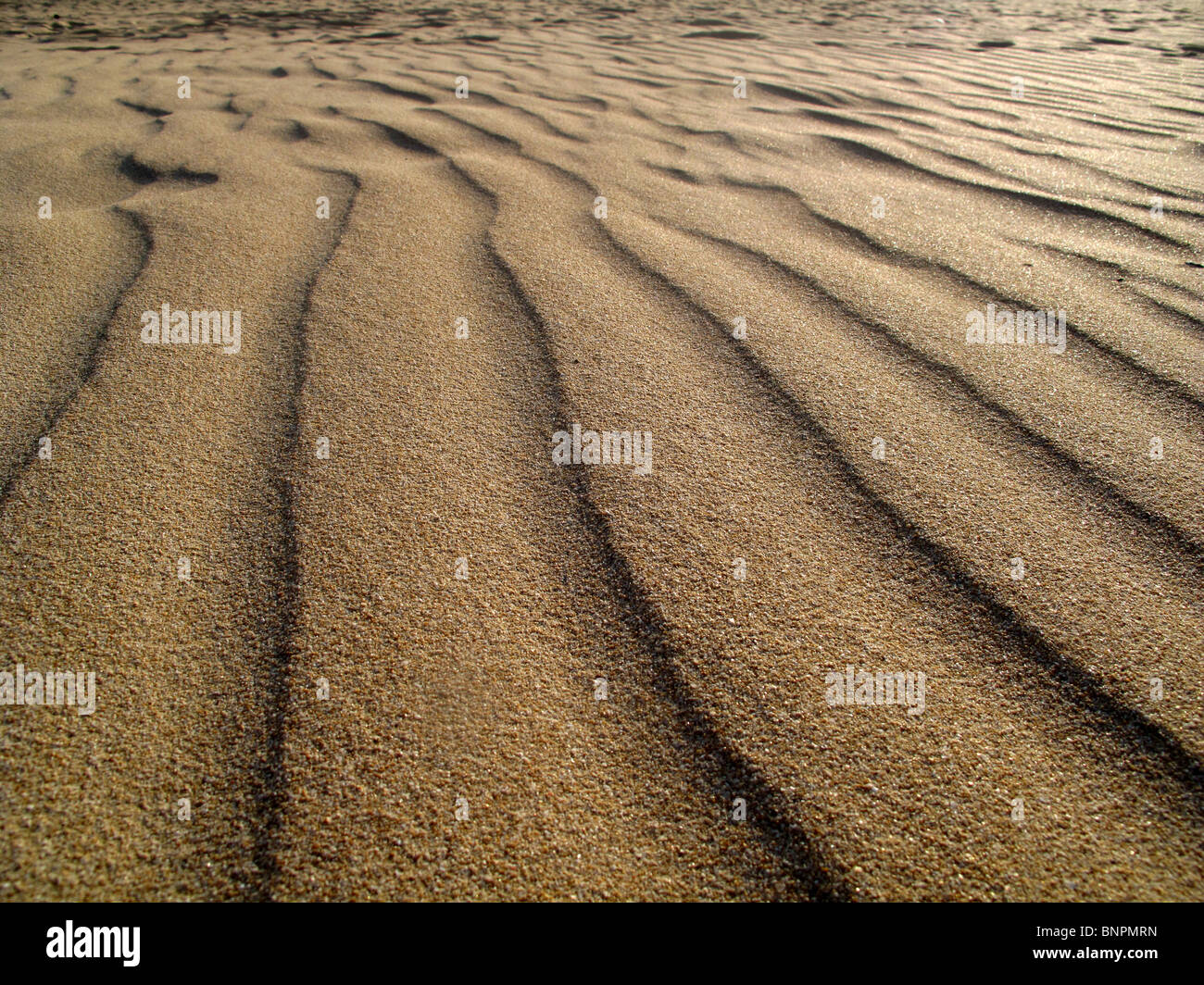 Wellige Sand Muster Wind am Strand Stockfoto