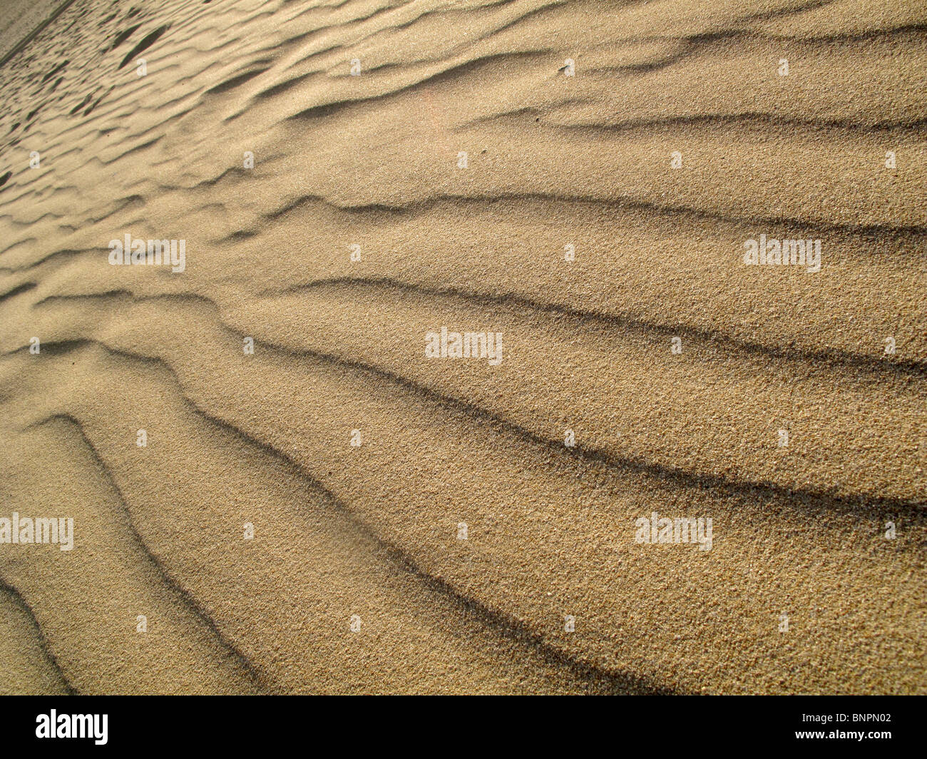 Wind-Wellen, die ich am Strand sand Stockfoto