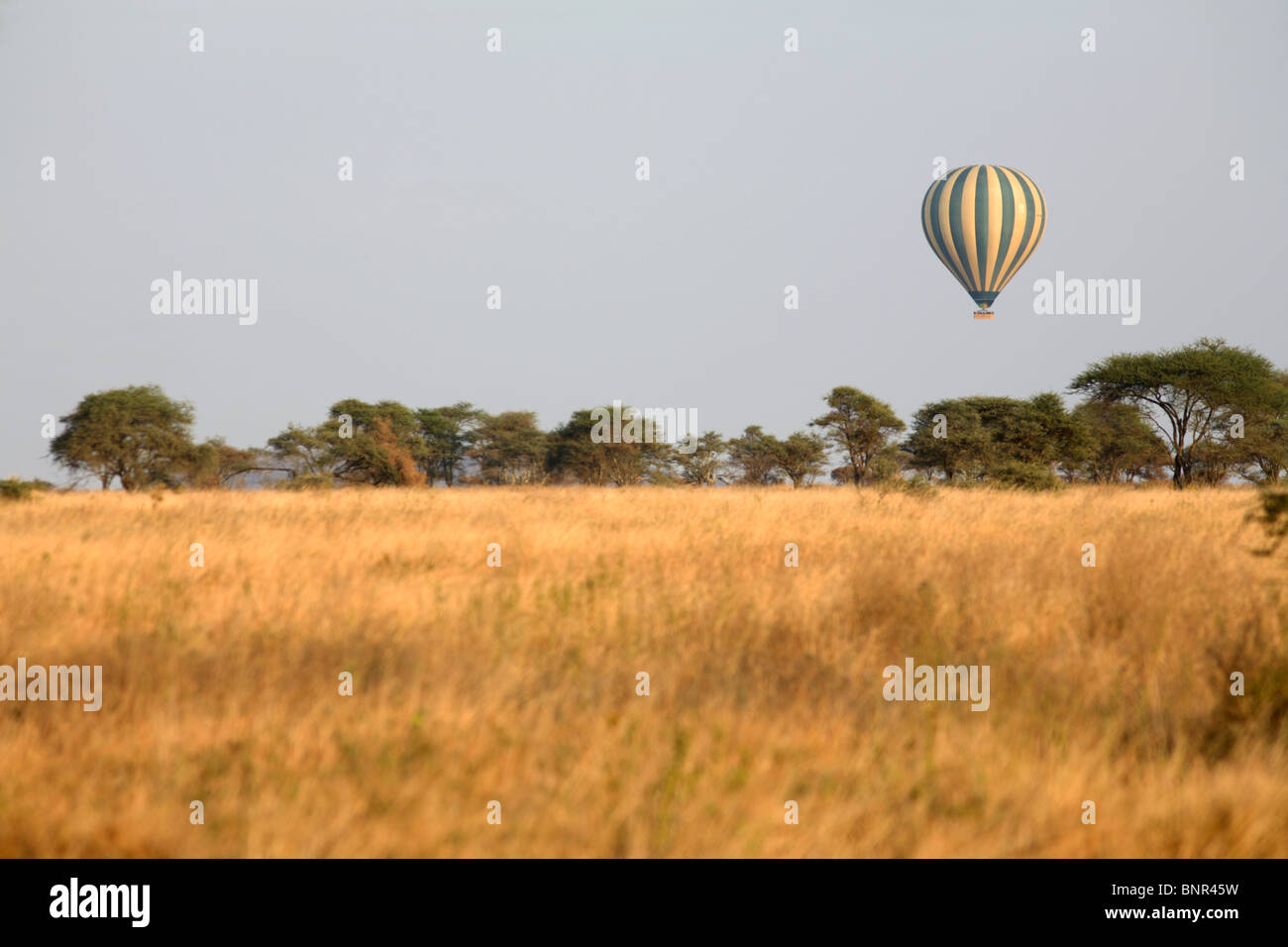 Heißluftballon fliegen über Serengeti, Tansania Stockfoto