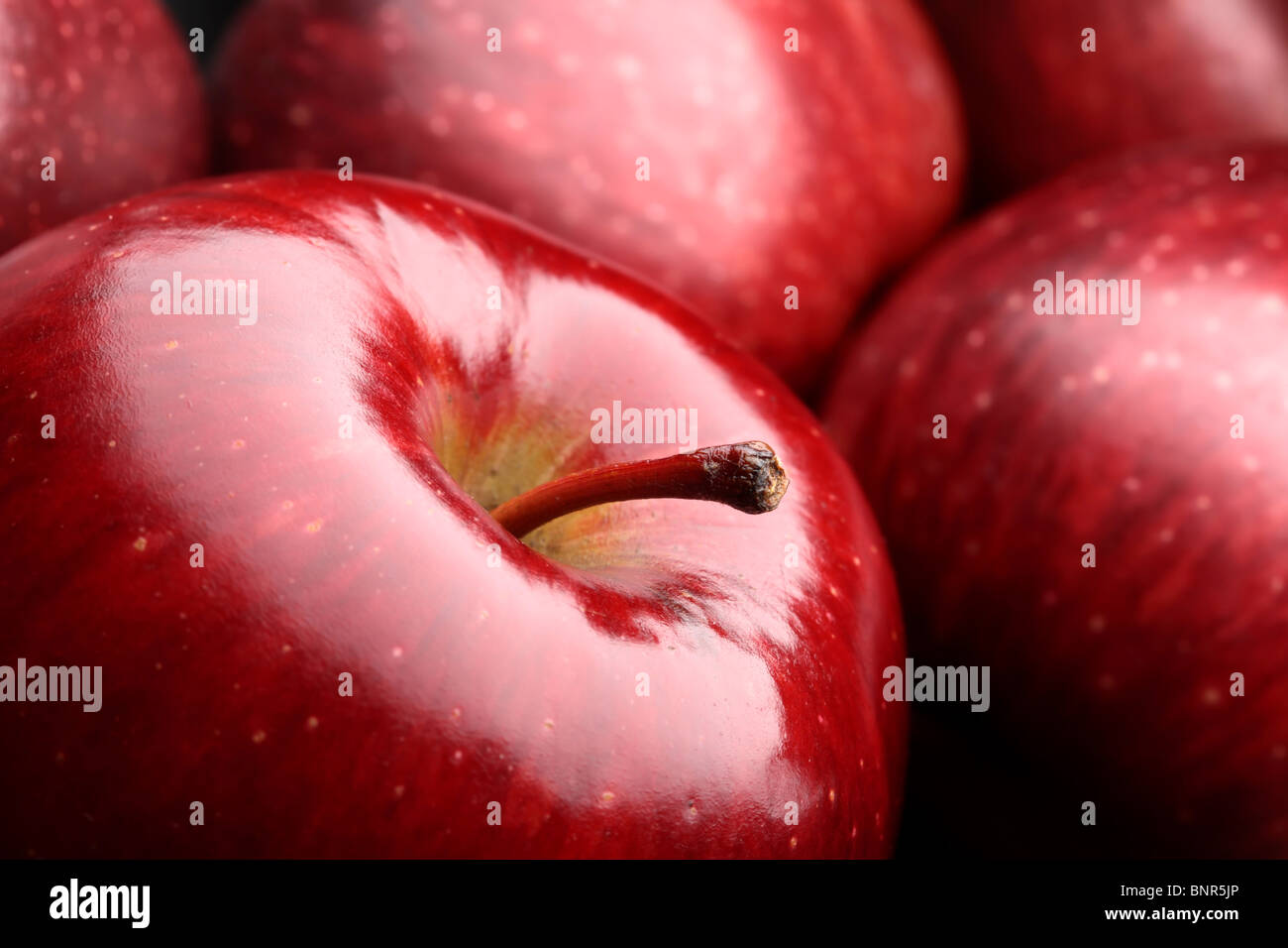 Nahaufnahme der frische dunkle rote Äpfel Stockfoto