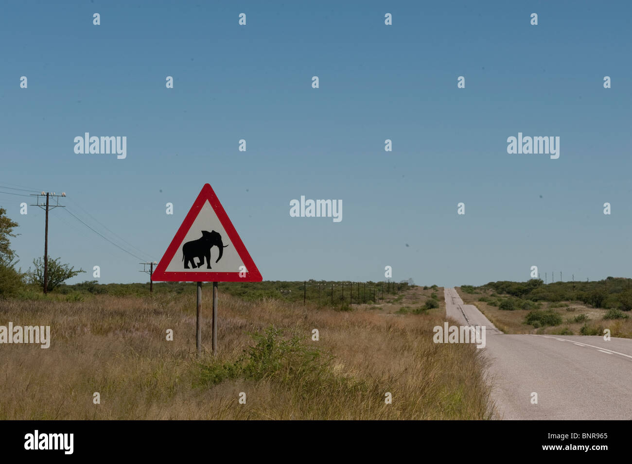 Verkehrs Schild Warnung Elphnats Kreuzung in Otjikondo Norden Namibias Stockfoto