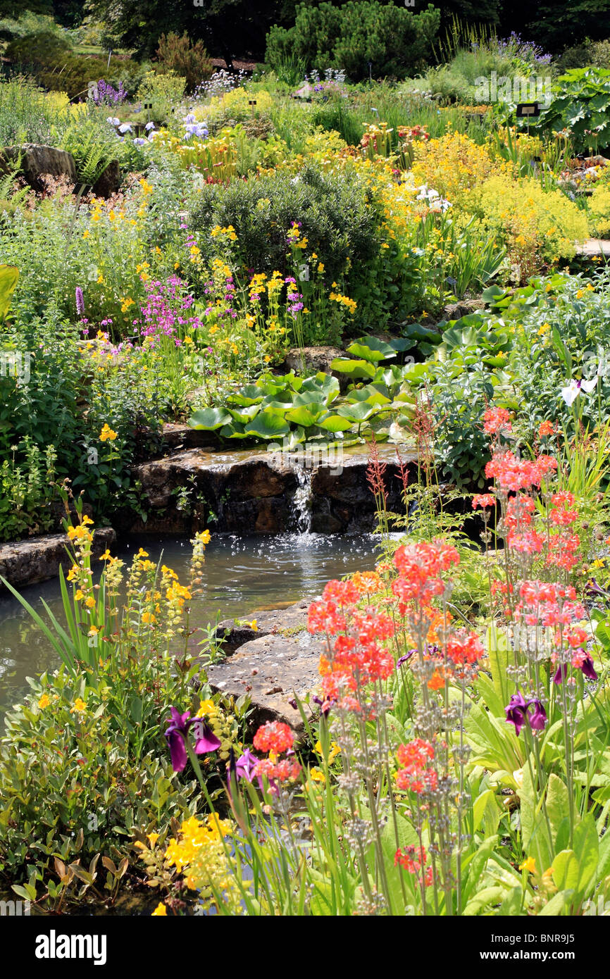 Hübschen Garten Szene mit Blumen und einem Teich, Surrey England UK Stockfoto