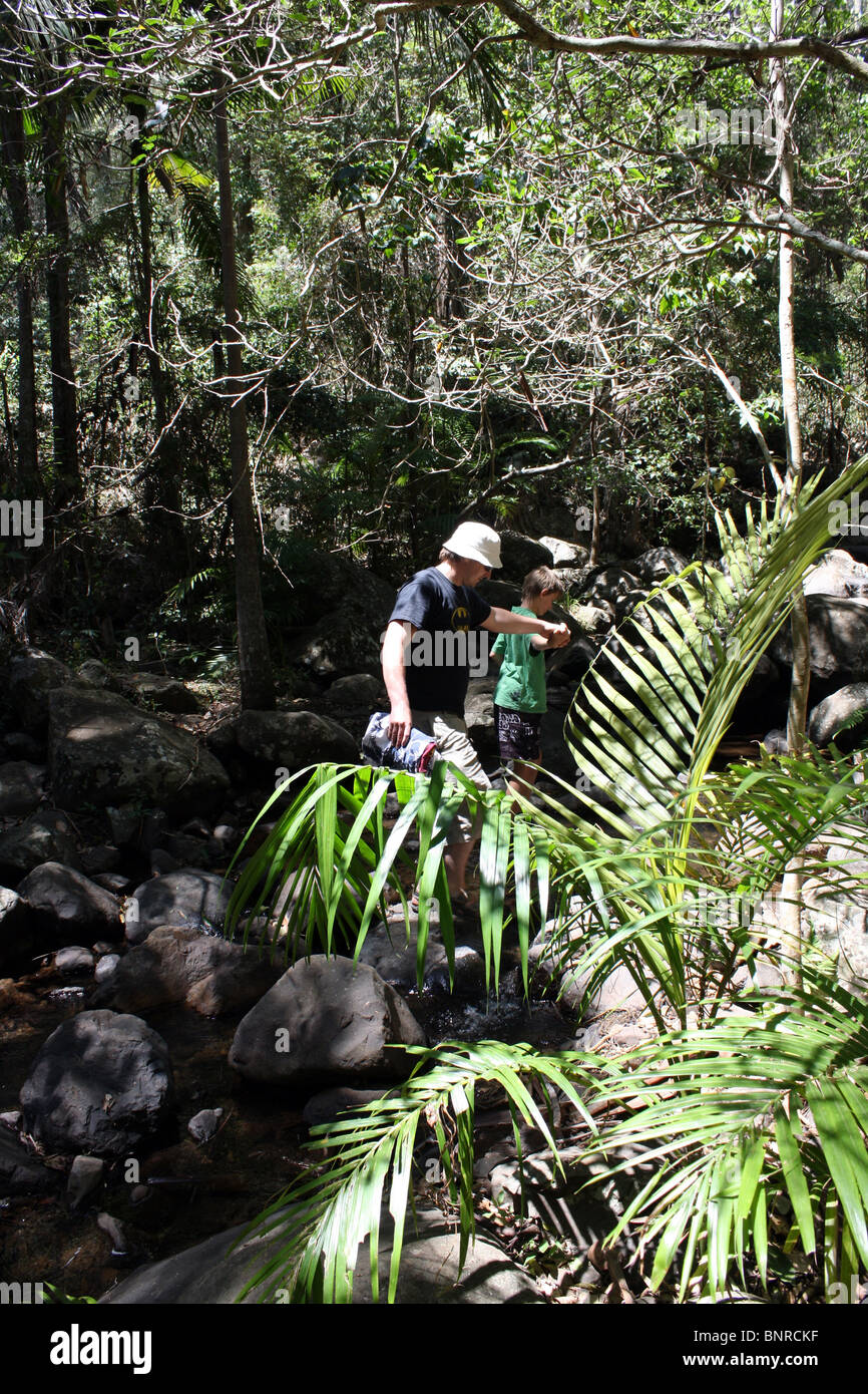 Mann und der junge erkunden den Regenwald in Queensland, Australien Stockfoto