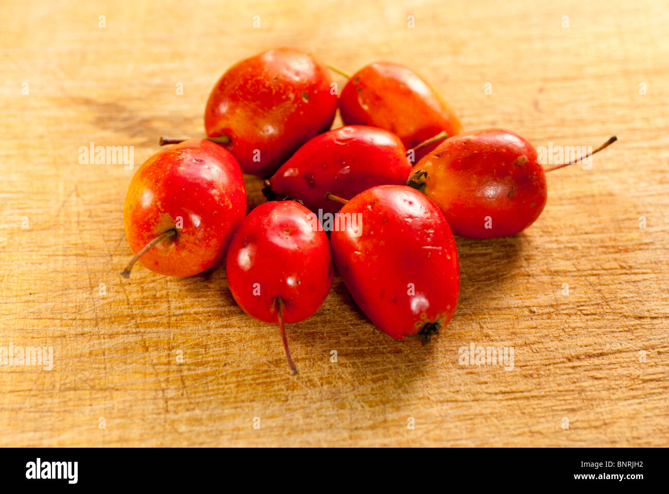 Cluster von Holzäpfel Stockfoto