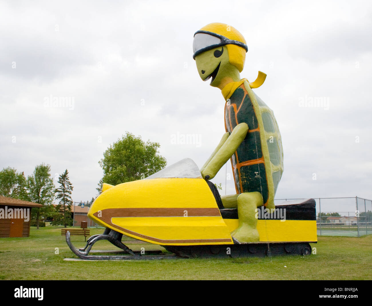 Eine Riesenschildkröte fährt mit einem Schneemobil in Bottineau, North Dakota – eine skurrile Skulptur am Straßenrand, die lokalen Winterspaß und regionalen Charme zelebriert. Stockfoto