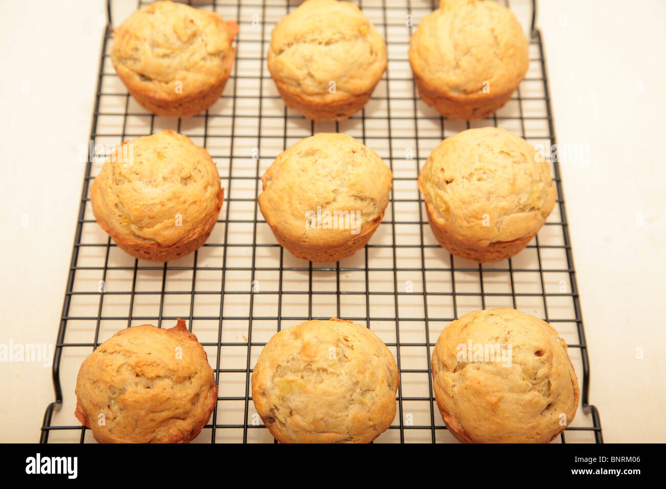 Muffins abkühlen auf ein Backrost Stockfoto