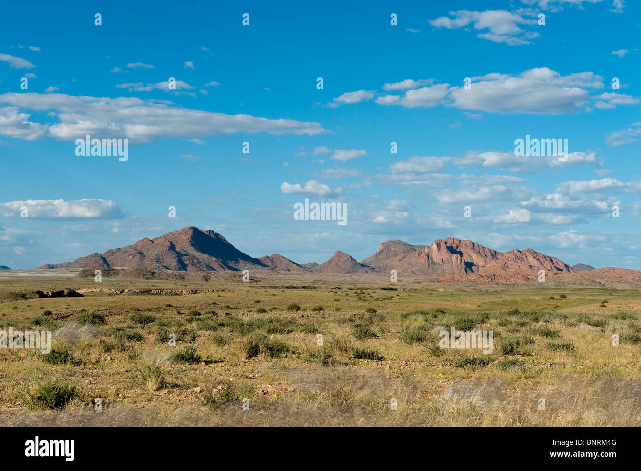 Landschaft entlang der C14-Straße nördlich von Solitaire Namibia Stockfoto
