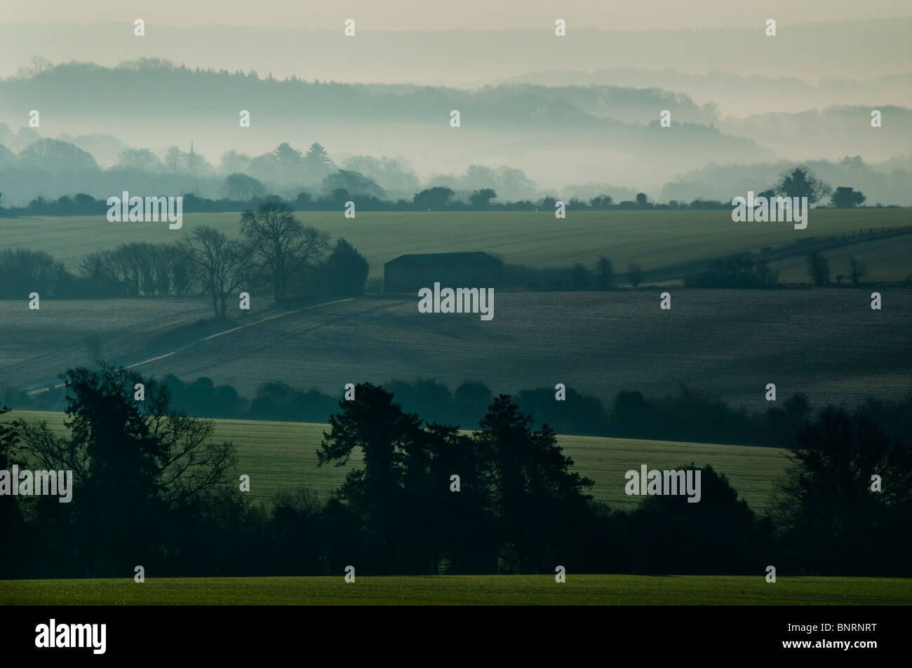 Europa; Großbritannien, England, Wiltshire, Landschaft nebligen Morgen Stockfoto