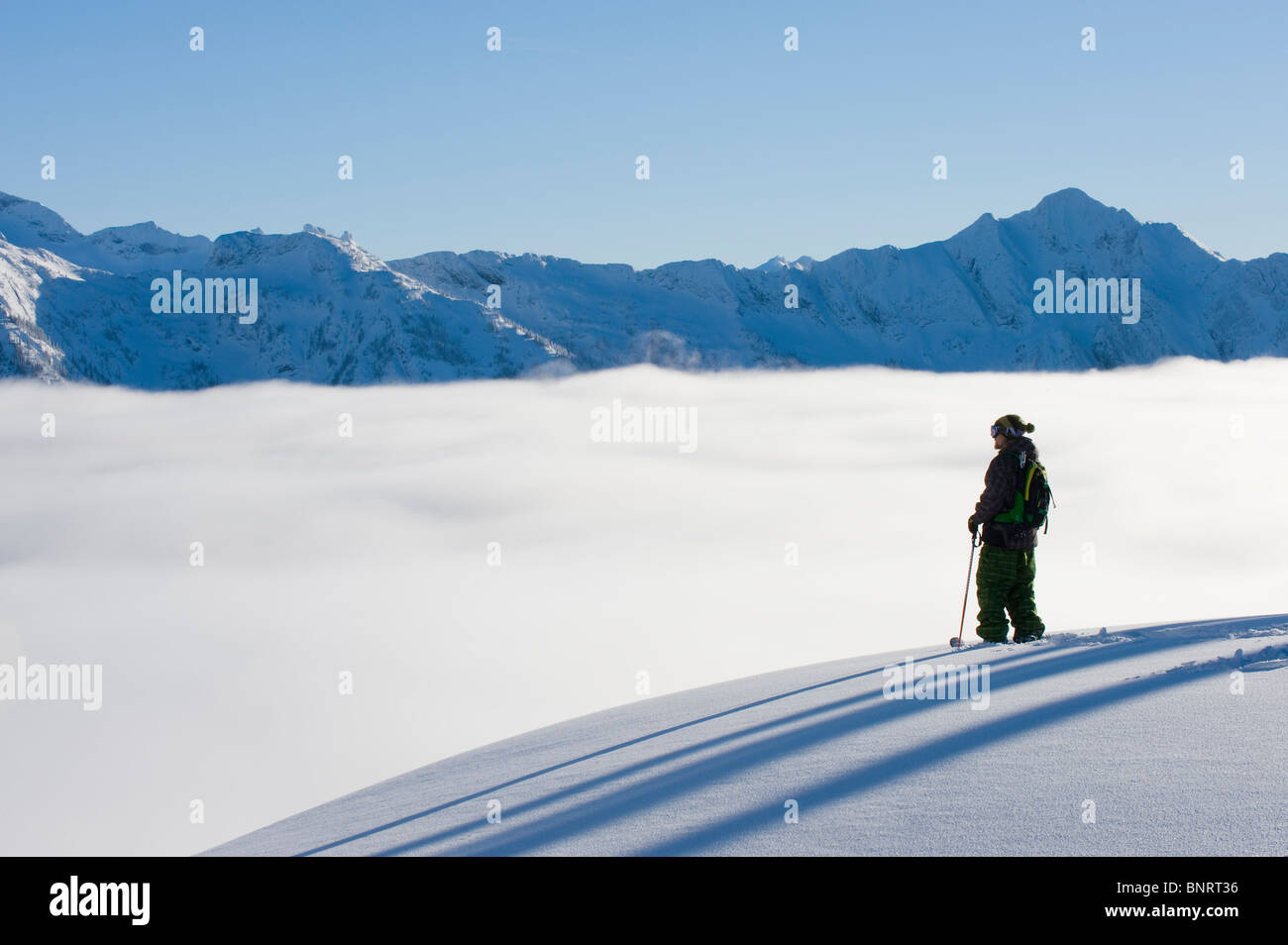 Man durchquert auf Skiern, BC, Kanada. Stockfoto