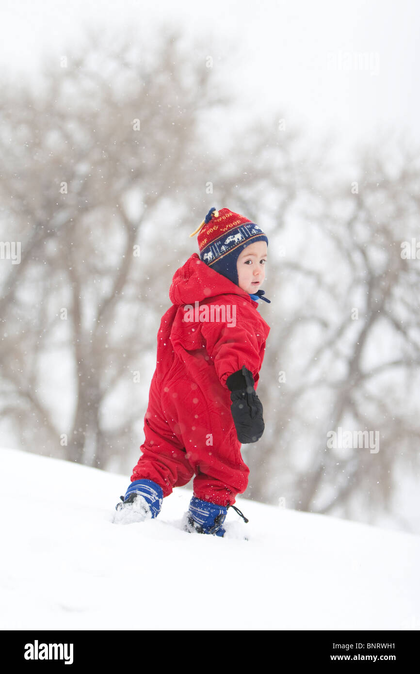 Ein zweier Jahre alter Junge spielt in einem schneebedeckten Feld während eines Schneesturms in einem roten Schneeanzug in einem Park, Fort Collins, Colorado. Stockfoto